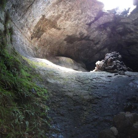Etna En Vie Bed and Breakfast Zafferana Etnea Εξωτερικό φωτογραφία